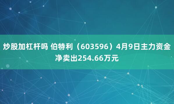 炒股加杠杆吗 伯特利（603596）4月9日主力资金净卖出254.66万元