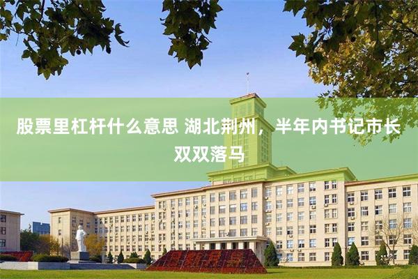 股票里杠杆什么意思 湖北荆州，半年内书记市长双双落马