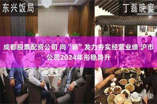 成都股票配资公司 向“新”发力夯实经营业绩 沪市公司2024年形稳势升