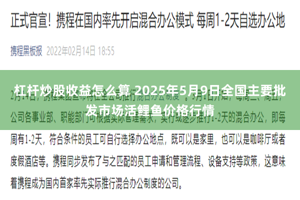 杠杆炒股收益怎么算 2025年5月9日全国主要批发市场活鲤鱼价格行情