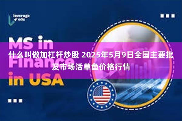 什么叫做加杠杆炒股 2025年5月9日全国主要批发市场活草鱼价格行情
