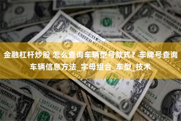 金融杠杆炒股 怎么查询车辆型号款式？车牌号查询车辆信息方法_字母组合_车型_技术