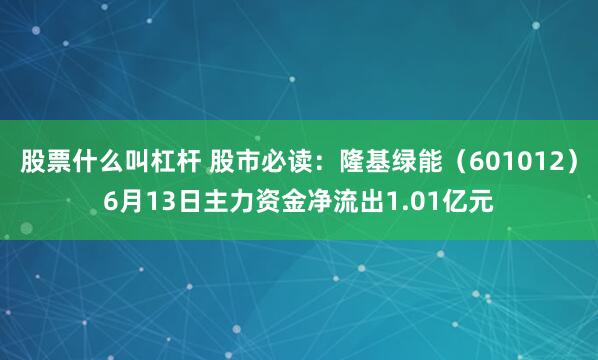 股票什么叫杠杆 股市必读：隆基绿能（601012）6月13日主力资金净流出1.01亿元