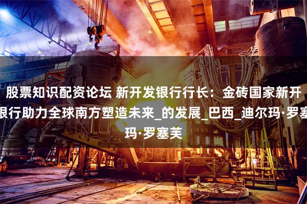 股票知识配资论坛 新开发银行行长：金砖国家新开发银行助力全球南方塑造未来_的发展_巴西_迪尔玛·罗塞芙