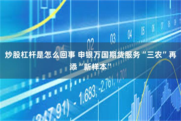 炒股杠杆是怎么回事 申银万国期货服务“三农”再添“新样本”