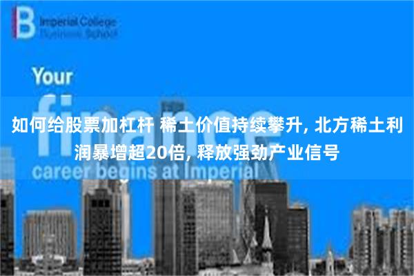 如何给股票加杠杆 稀土价值持续攀升, 北方稀土利润暴增超20倍, 释放强劲产业信号