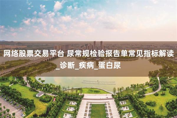 网络股票交易平台 尿常规检验报告单常见指标解读_诊断_疾病_蛋白尿