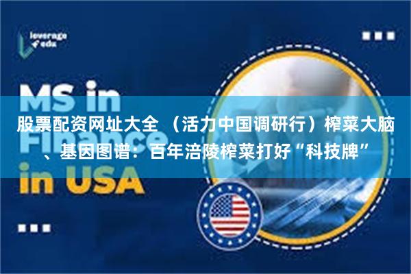 股票配资网址大全 （活力中国调研行）榨菜大脑、基因图谱：百年涪陵榨菜打好“科技牌”