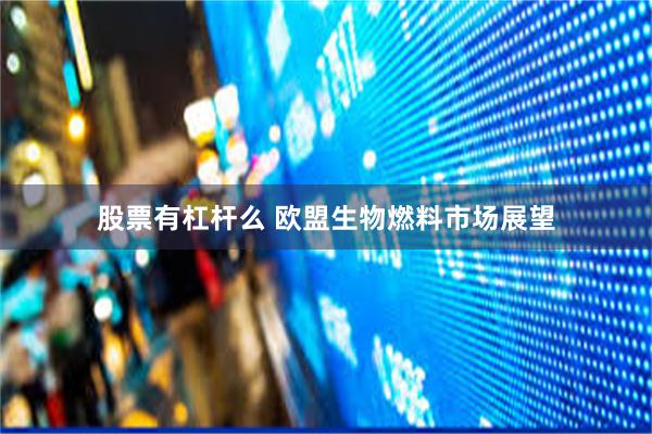 股票有杠杆么 欧盟生物燃料市场展望