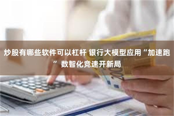 炒股有哪些软件可以杠杆 银行大模型应用“加速跑” 数智化竞速开新局
