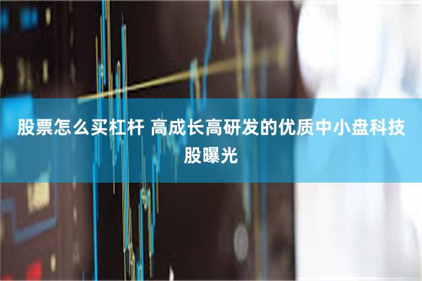 股票怎么买杠杆 高成长高研发的优质中小盘科技股曝光